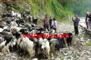 दसैँ नजिकिएसँगै पोखरा भित्रिए च्याङ्ग्रा